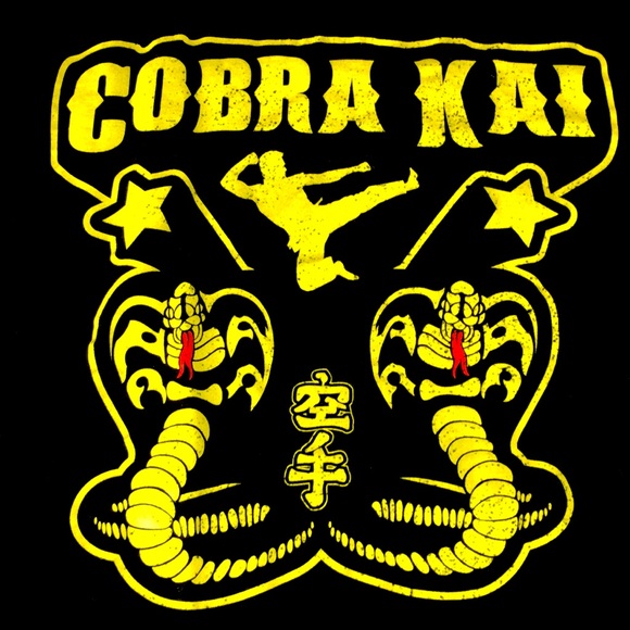 5/$25 BRAND NEW MENS BLACK COBRA KAI TSHIRT - Picture 3 of 4